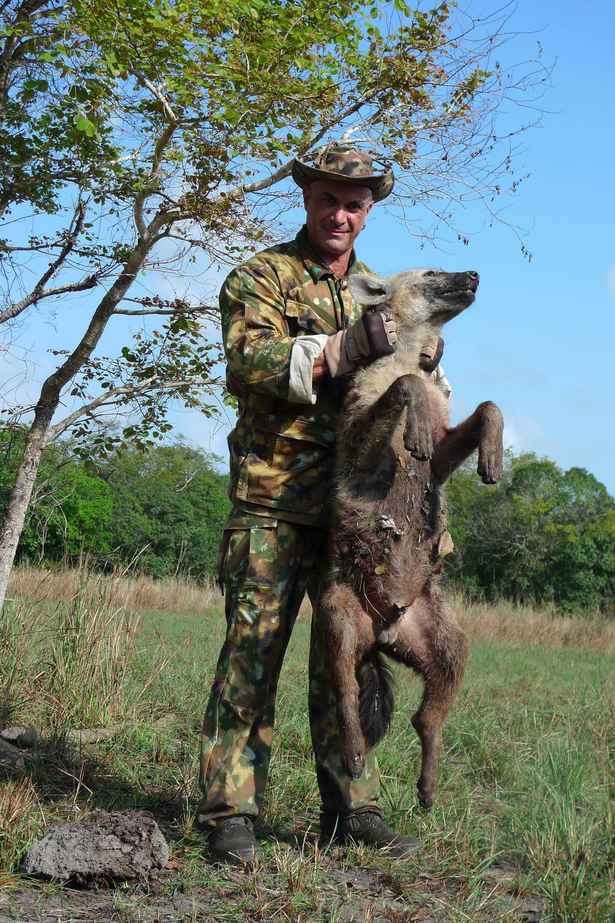 Hunter holding a brown hyena taken in the Limpopo bushveld, South Africa