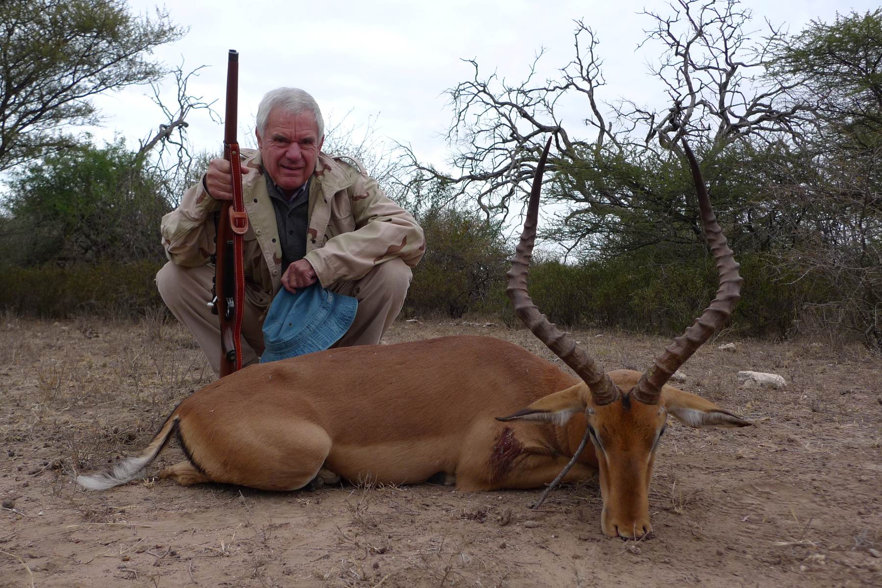 Hunting client with an impala ram taken in thornveld, Limpopo, South Africa