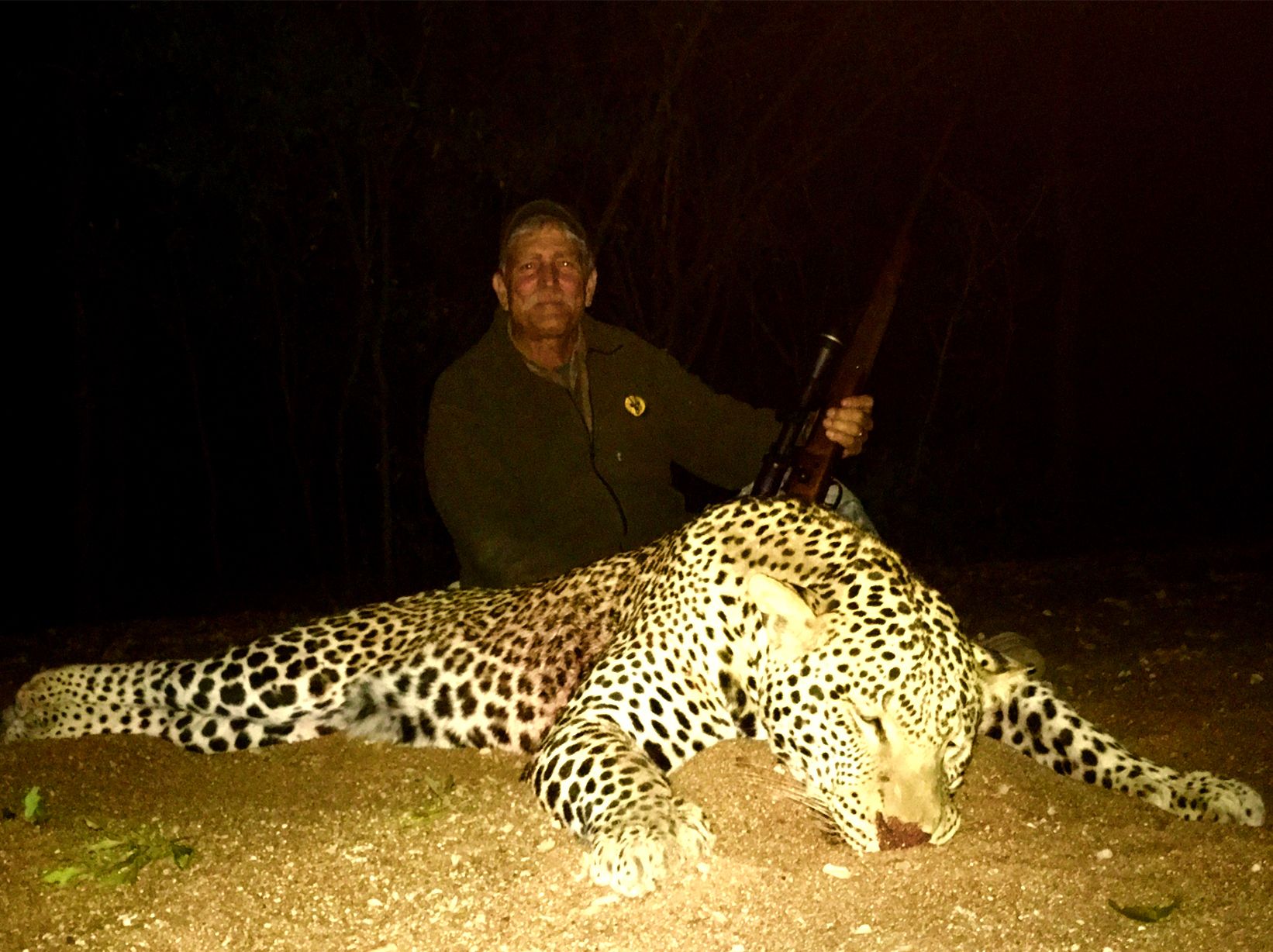 Leopard tom taken from a blind under lamp at night, Zimbabwe