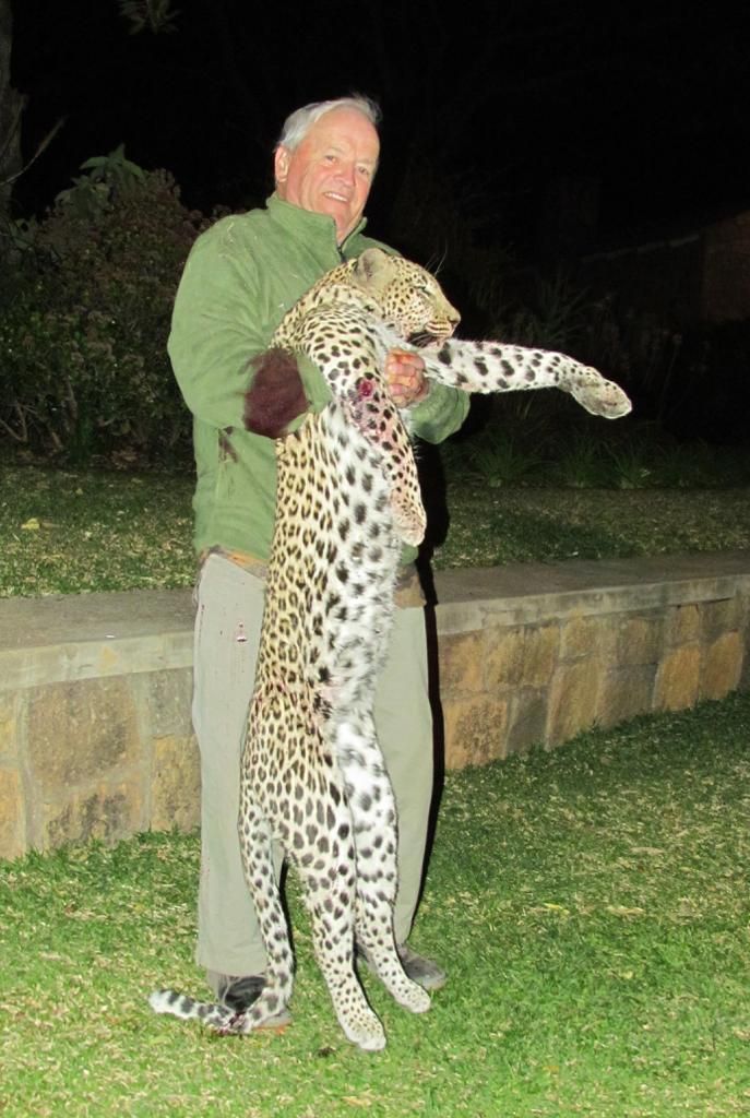 Hunting client with a mature leopard tom taken over bait with Nhoro Safaris