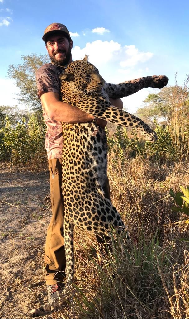 Leopard tom held up to show its full length, Zimbabwe