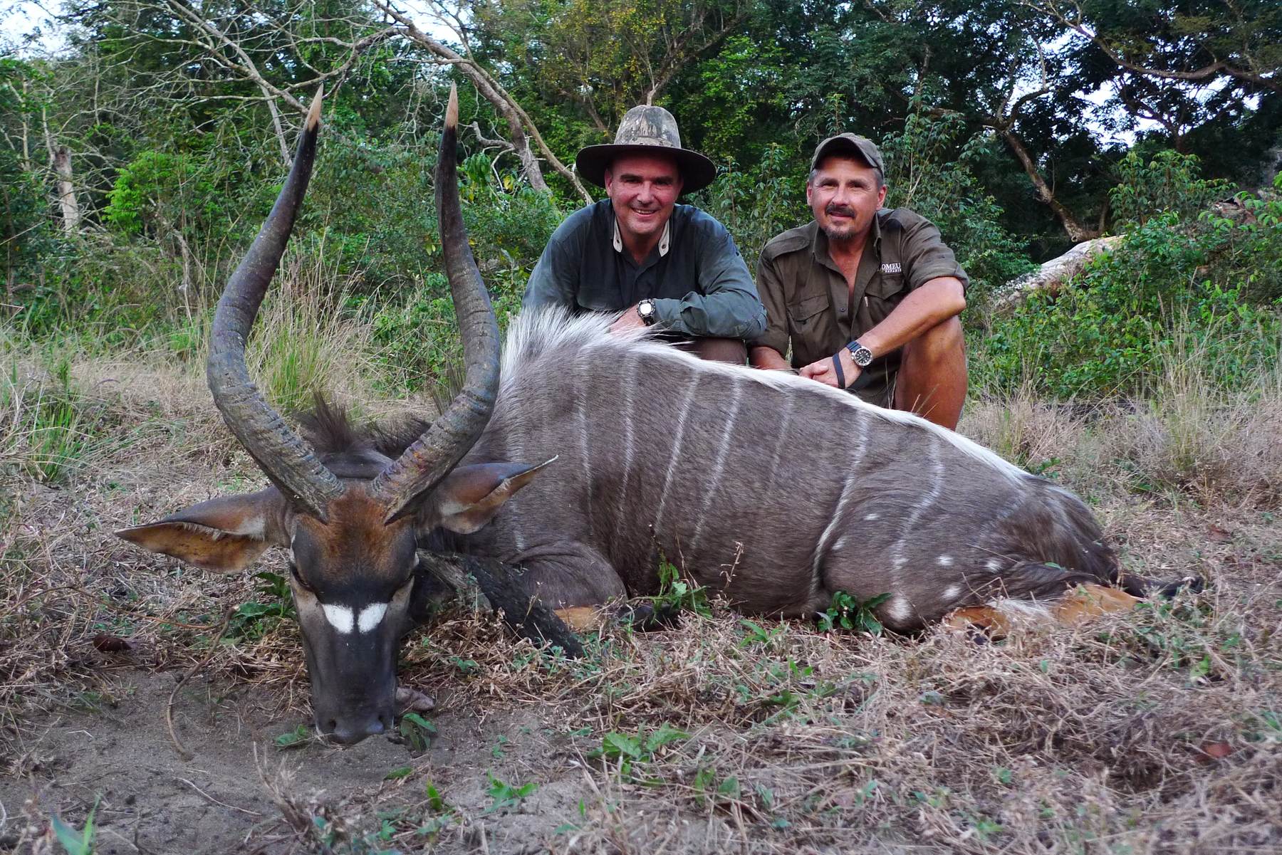 Two hunters with a nyala bull taken in South Africa