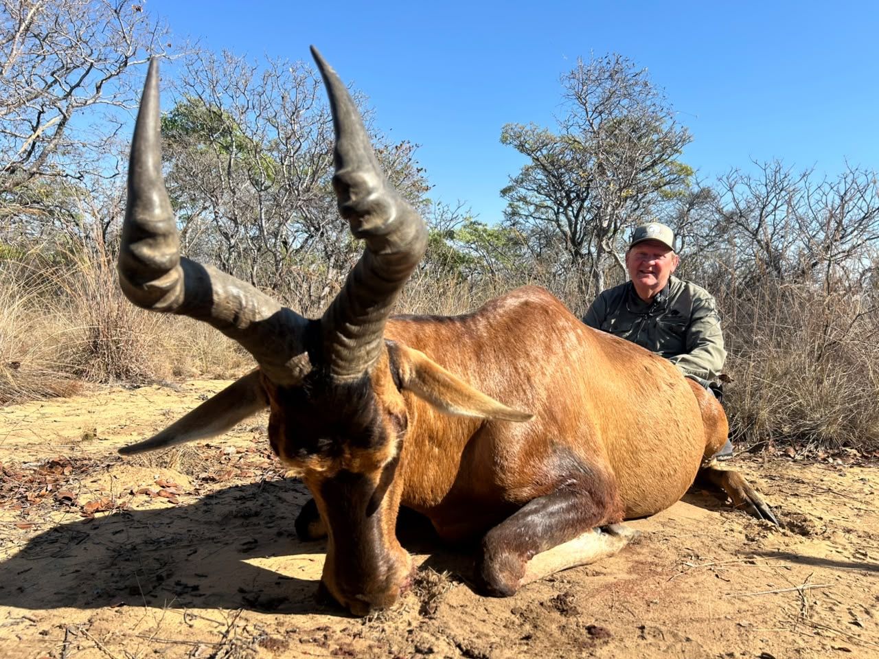 Hunting client with a red hartebeest bull, Botswana