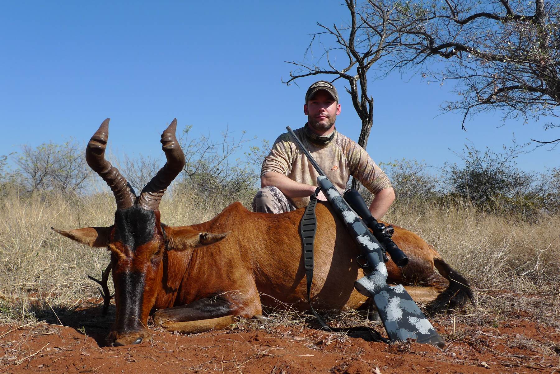 Hunting client with a red hartebeest bull on Kalahari sand, South Africa
