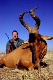 Hunting client with a red hartebeest bull, South Africa