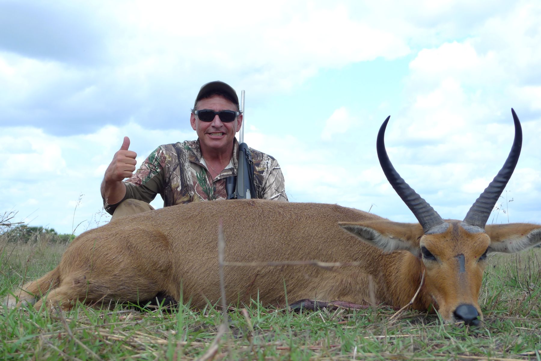 Common reedbuck at the floodplain edge in the Zambezi Delta, Mozambique
