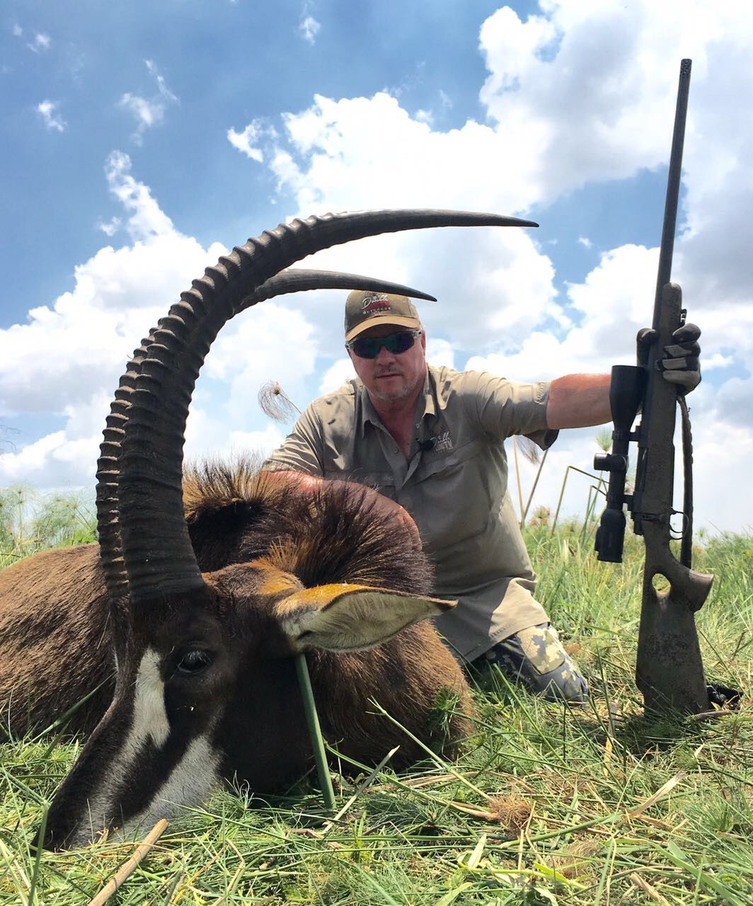Hunter with a deep-sweeping sable bull, Zambezi Delta, Mozambique