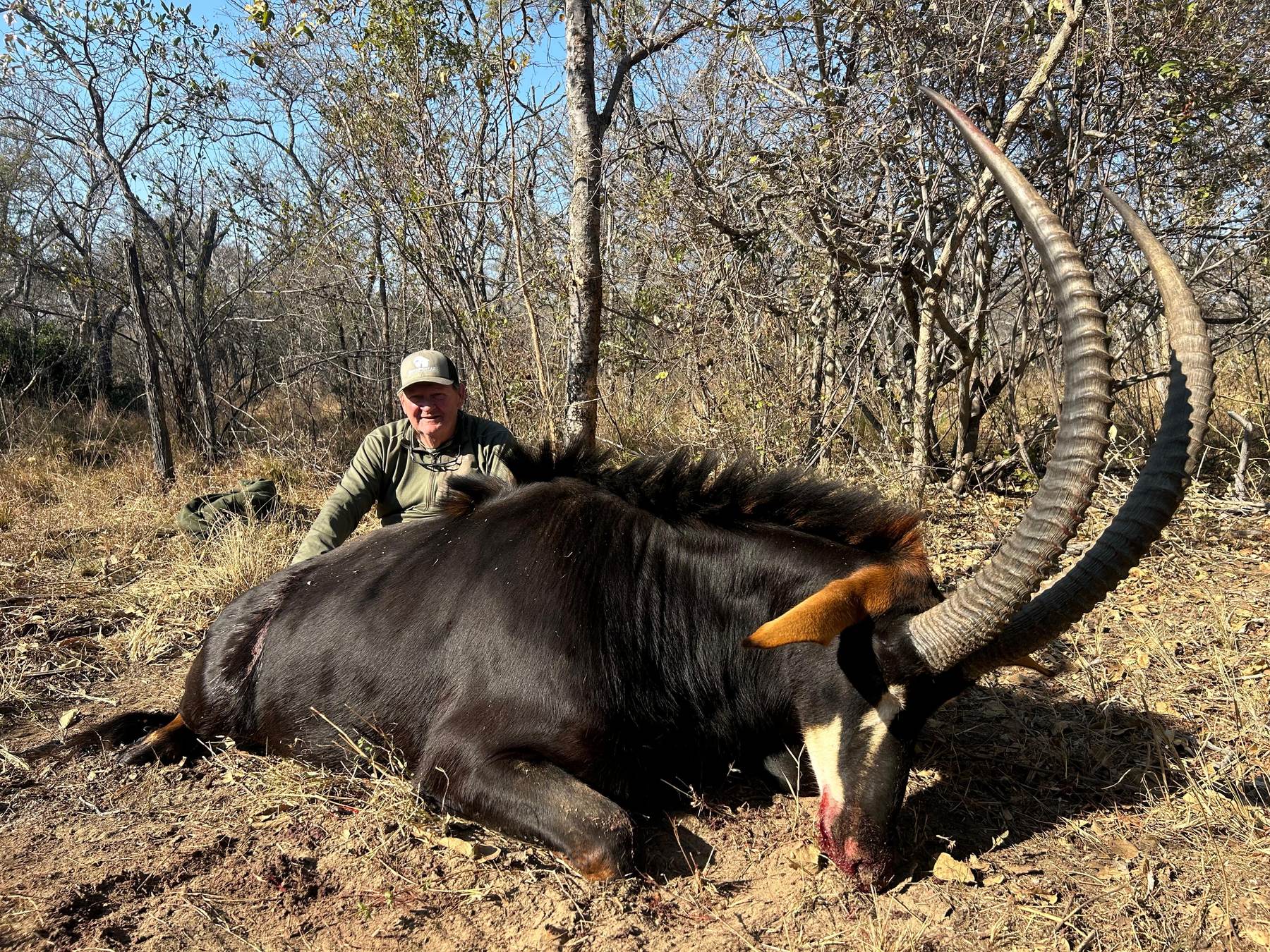 Hunting client with a sable bull taken in woodland, Zimbabwe