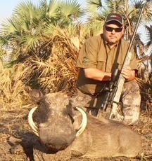 Hunting client with a heavy-tusked warthog boar, Zambezi Delta, Mozambique