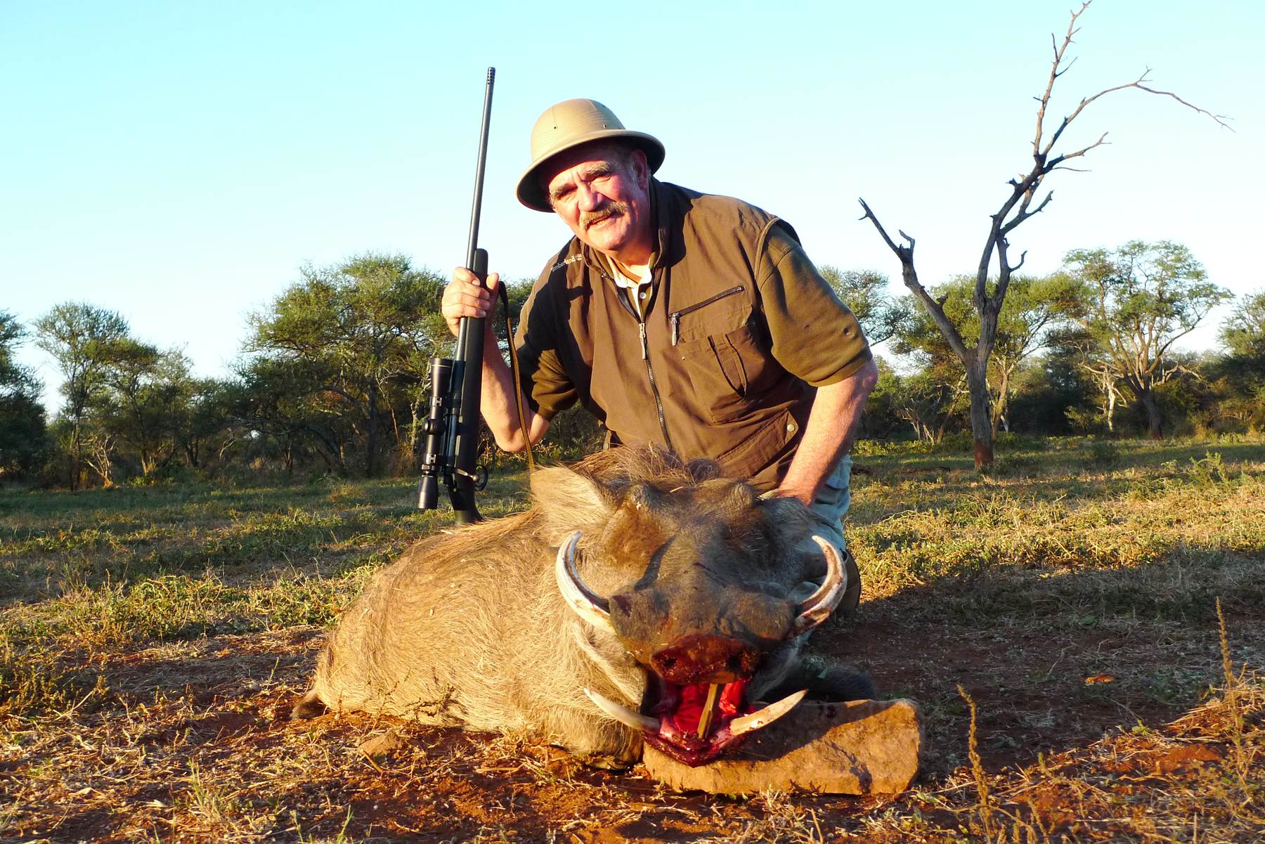 Hunter with a warthog boar taken in late afternoon light, Limpopo, South Africa