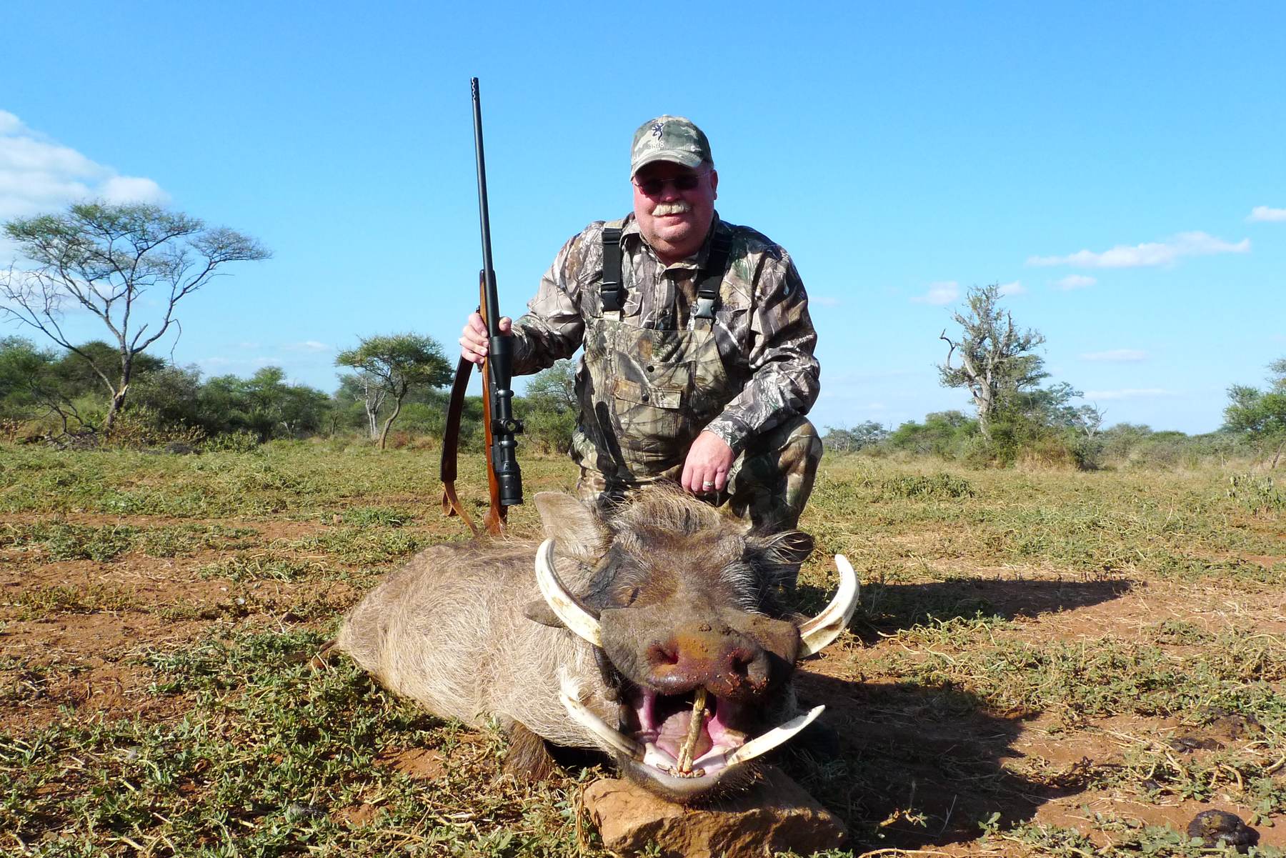 Hunting client with a warthog boar taken in open bushveld, Limpopo, South Africa