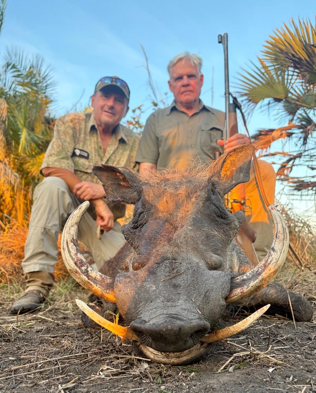 Two hunters with a heavy-tusked warthog boar, South Africa