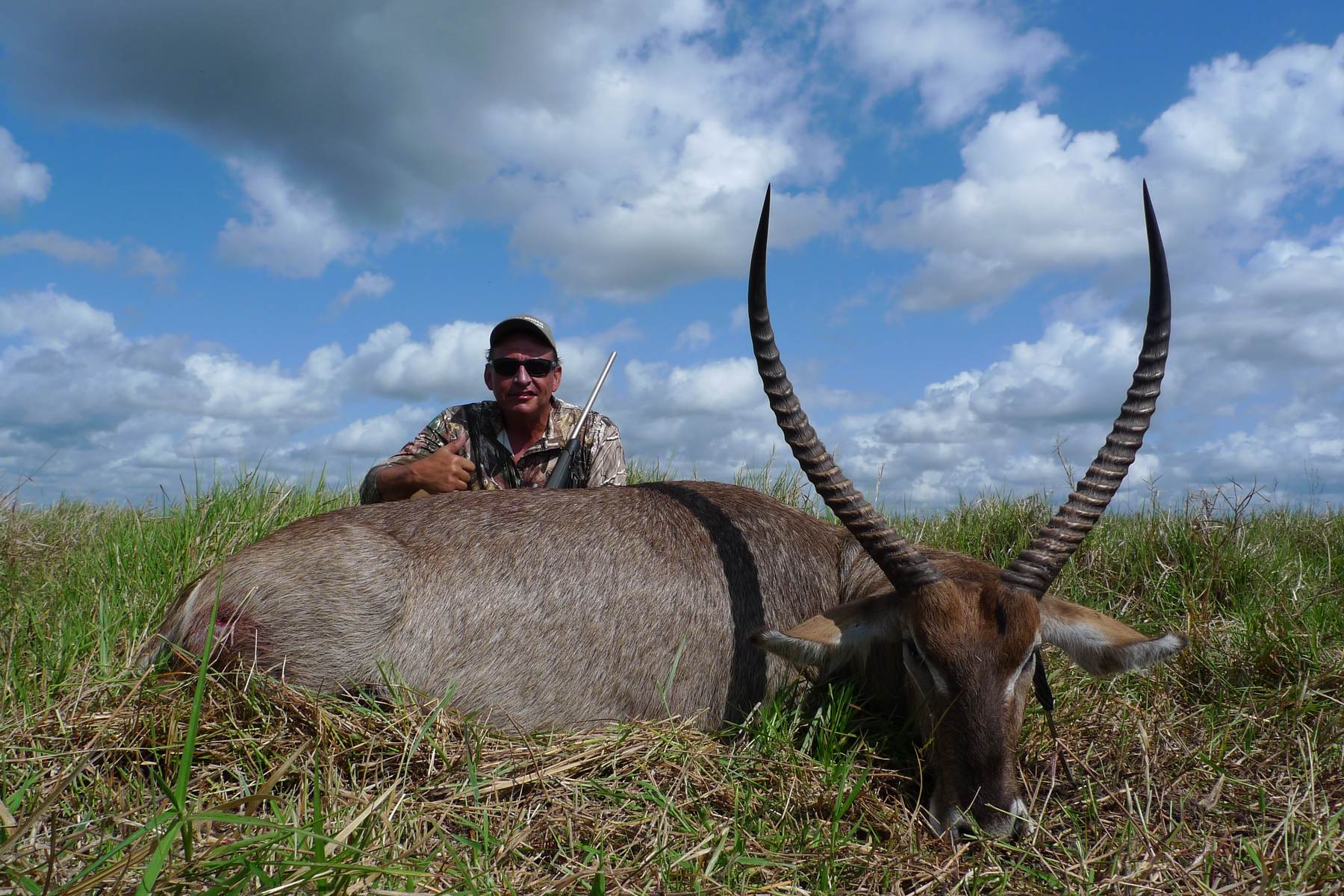 Hunting client with a waterbuck bull taken in green grass, Zambezi Delta, Mozambique