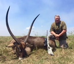 Waterbuck at the floodplain edge in the Zambezi Delta, Mozambique