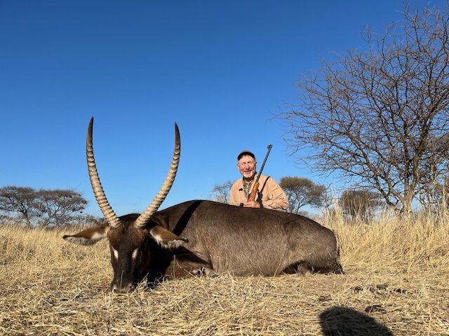 Hunting client with a waterbuck bull taken in dry grass, Limpopo, South Africa