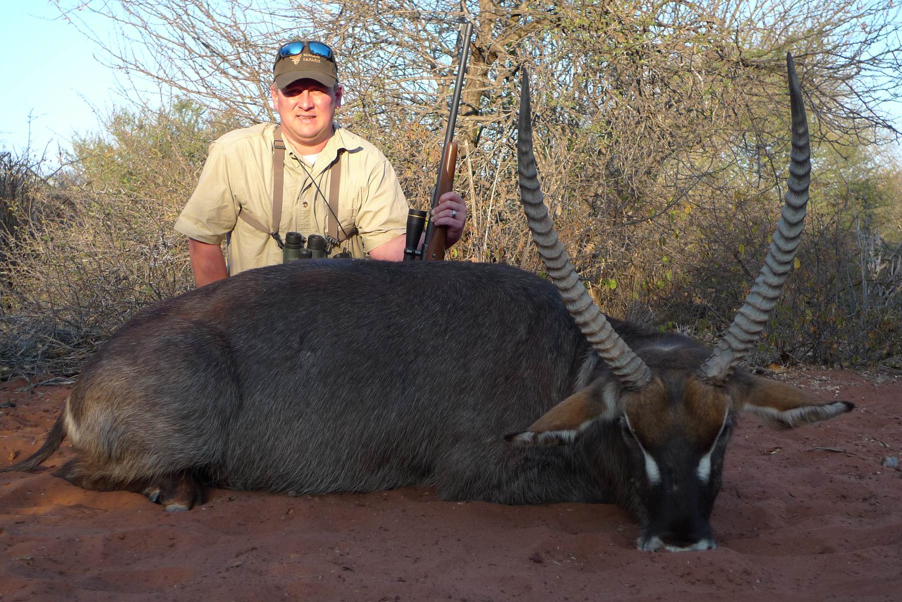 Hunting client with a waterbuck bull taken on red soil, Limpopo, South Africa