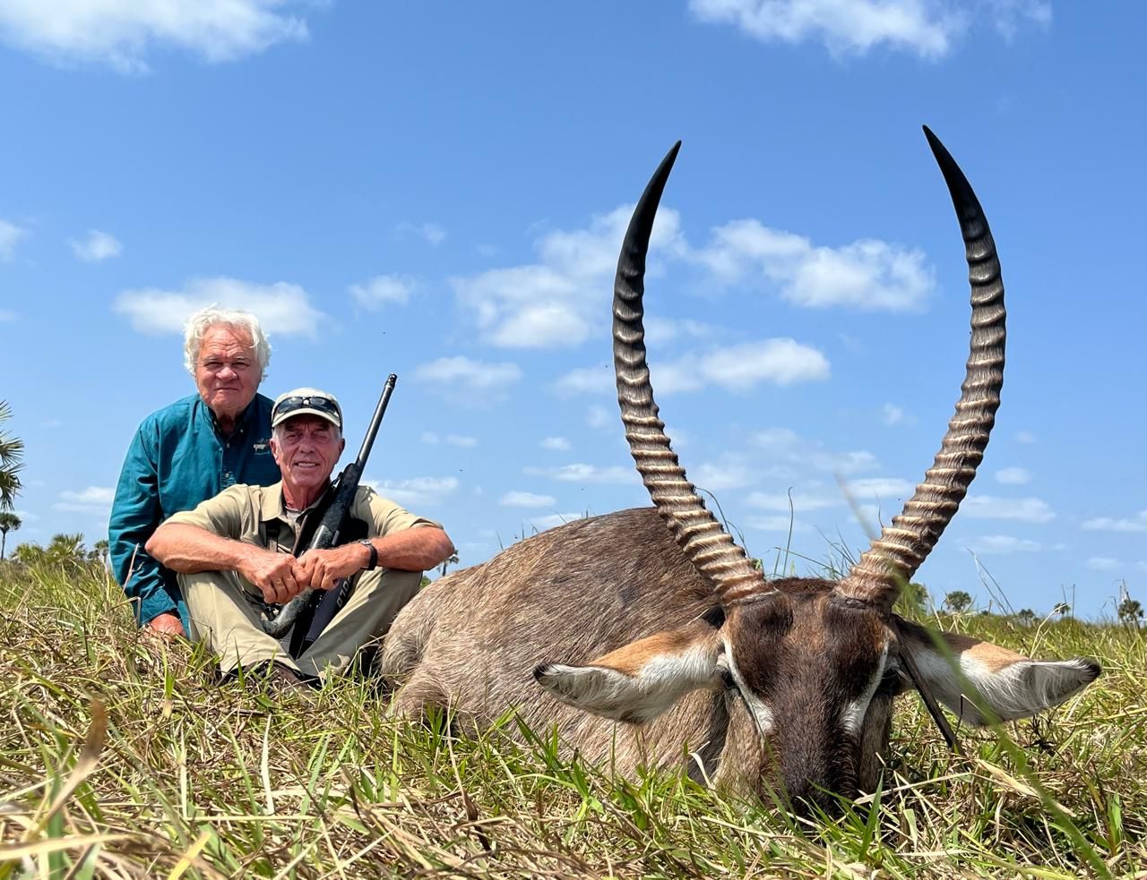 Waterbuck bull in riverine cover in early morning light, South Africa