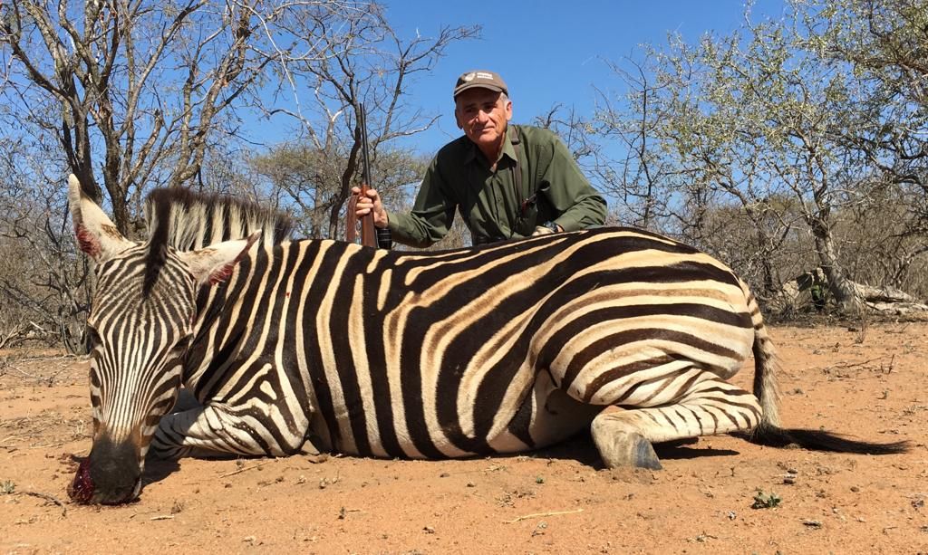 Hunting client with a Burchell's zebra stallion taken in Limpopo bushveld, South Africa