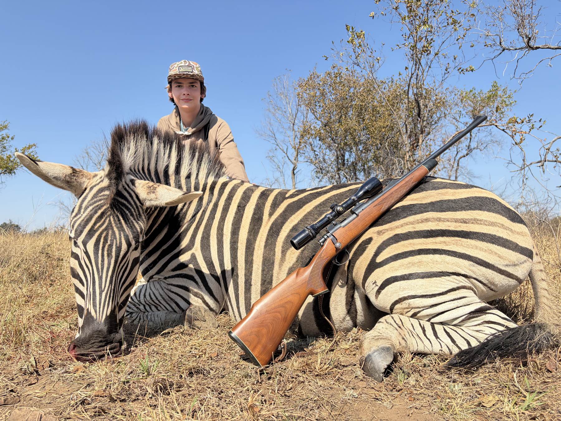 Detail of the stripe pattern on a Burchell's zebra hide, South Africa